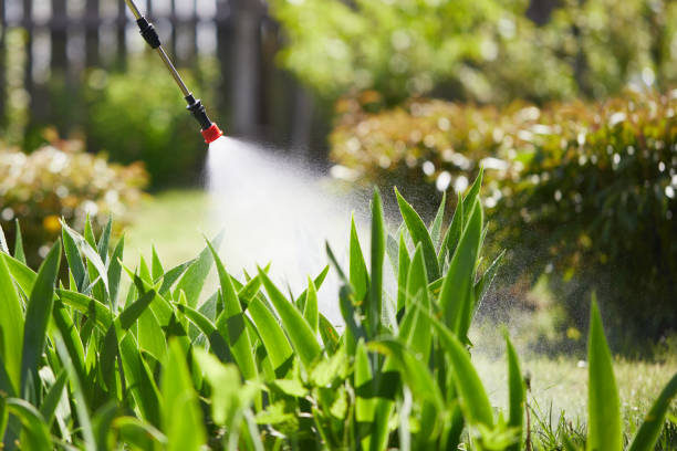 Tamper-Resistant Bait Stations for Rodents in Wylie