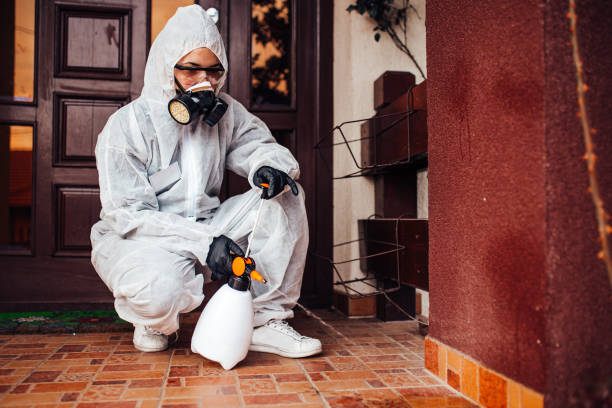 Attic and Crawl Space Rodent Treatment in Wylie