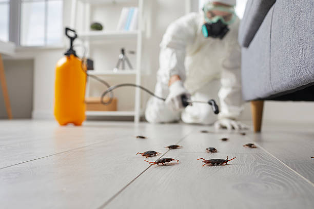 Commercial Rodent Management in Wylie